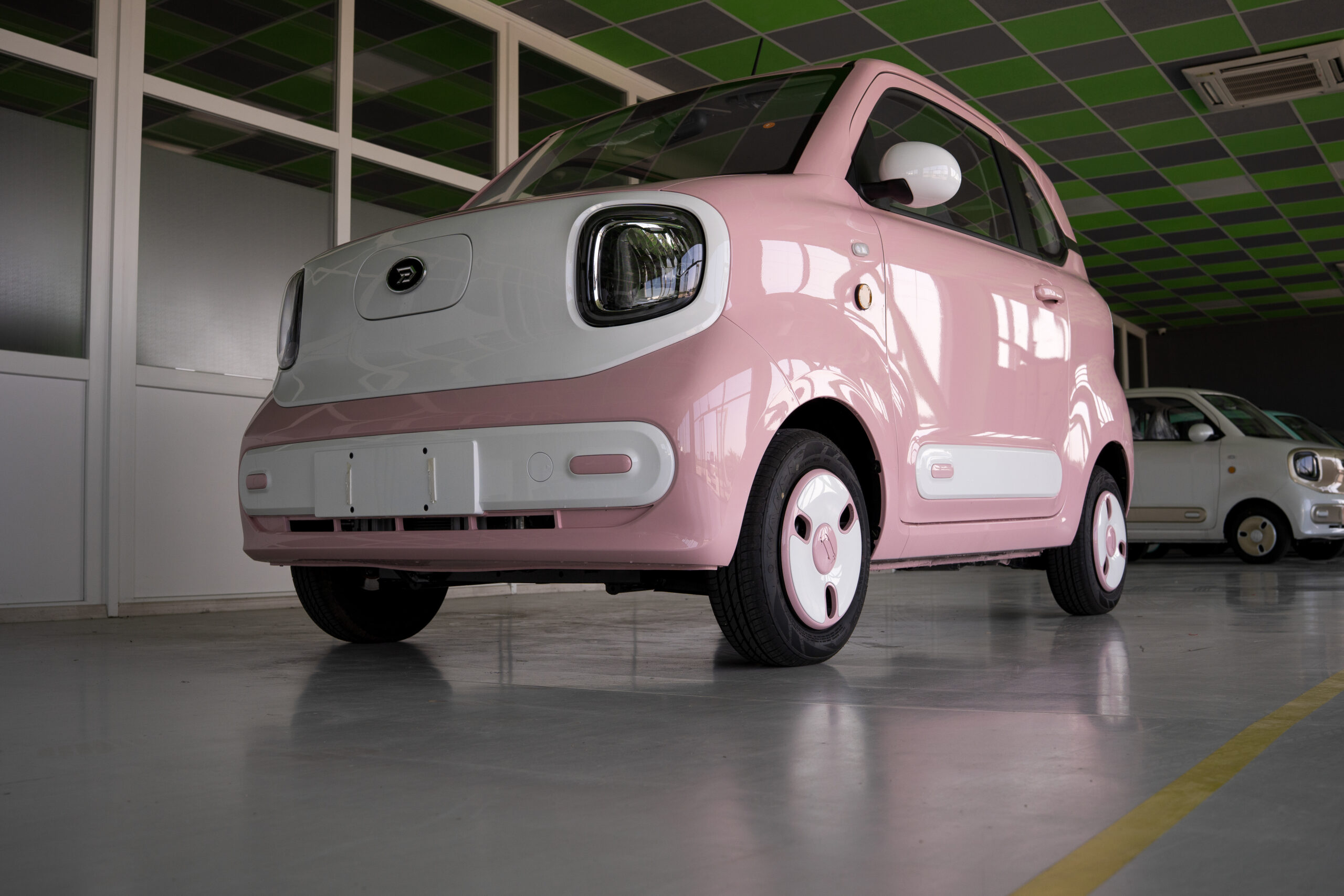 AIGO (8 of 26)